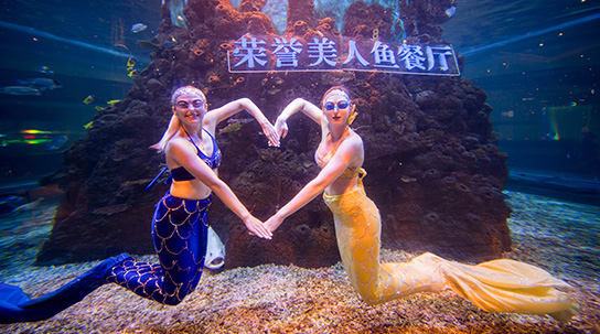 新梵尔纳美人鱼餐厅全新升级回归啦！！！
